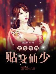 女总裁的贴身仙少封面