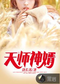 天师神婿封面