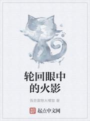轮回眼中的火影封面