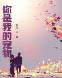 你是我的宠物封面