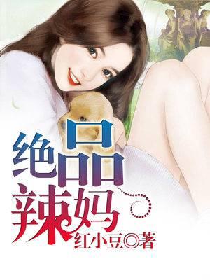 绝品辣妈封面