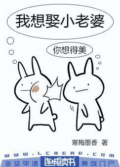 我想娶小老婆封面