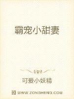 霸宠小甜妻封面