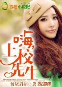 嗨，上校先生！封面