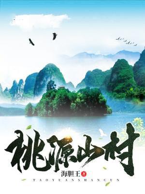 桃源山村江小烨李岚封面