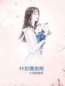 AV拍摄指南(ai)封面
