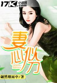妻如针刺我心写的太好了封面