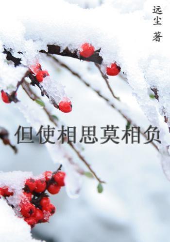 但使相思莫相负封面