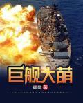 巨舰大萌封面