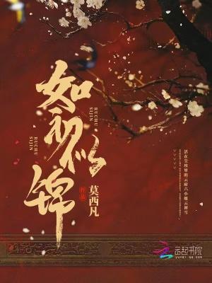 如初似锦封面
