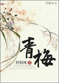 青梅封面