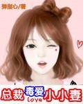 总裁毒爱小小妻封面