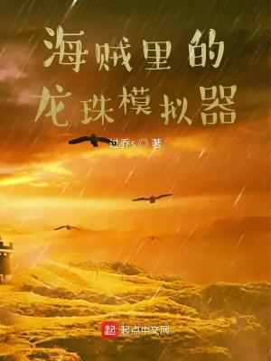 海贼里的龙珠模拟器封面