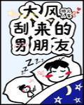 大风刮来的男朋友封面