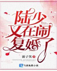 陆少又在闹复婚了封面