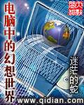 电脑中的幻想世界封面