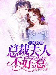 全城通缉：总裁夫人不好惹封面