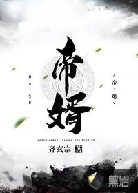 帝婿封面