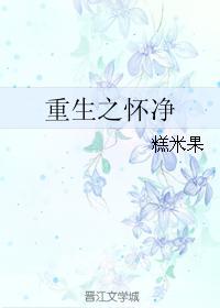 重生之怀净封面