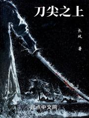 刀尖之上封面
