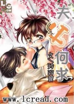 夫父何求封面