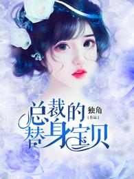 总裁的替身宝贝封面