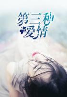 第三种爱情封面