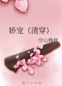 娇宠（清穿）封面