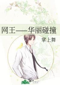 网王——华丽碰撞封面