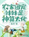 农家团宠妹妹是神算大佬封面