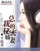 总裁的秘密娇妻封面