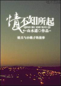 情不知所起封面