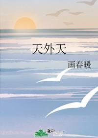 天外天封面