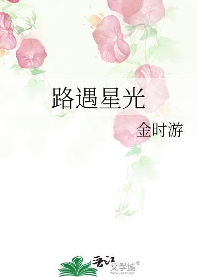 路遇星光封面