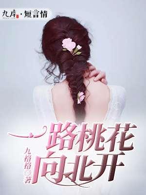 一路桃花向北开封面