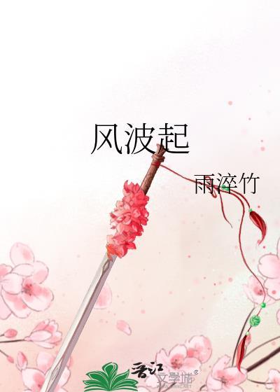 风波起封面