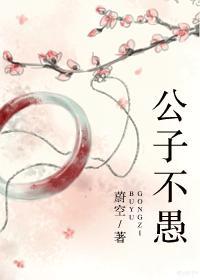 公子不愚封面