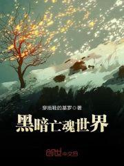黑暗亡魂世界封面