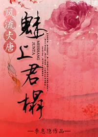 梦隋唐之与君欢好封面