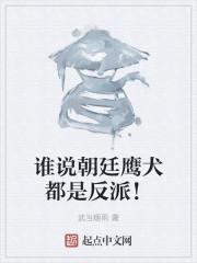 谁说朝廷鹰犬都是反派！封面