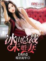 小说苏夕月叶辰封面