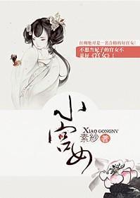 小宫女封面