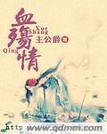 血殇情封面