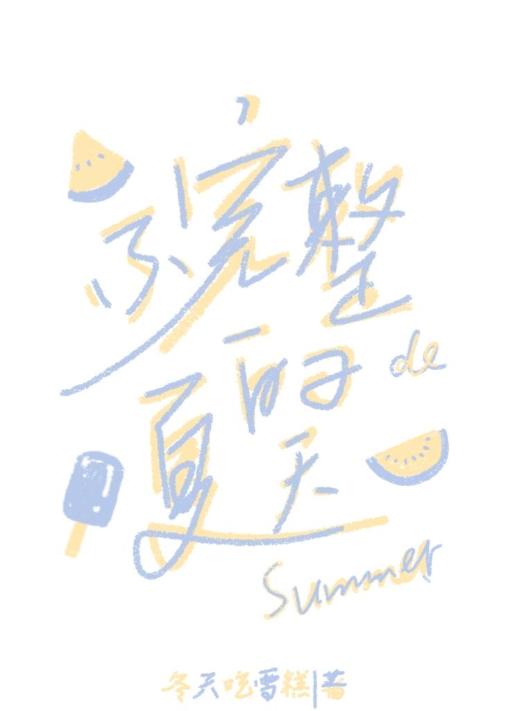 不完整的夏天封面