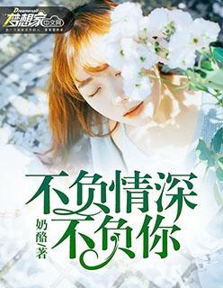 不负情深不负你封面
