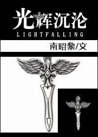 光辉沈沦封面