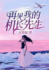 再见我的机长先生封面