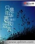 只是年华离我远去封面