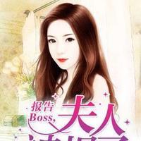 报告Boss︰夫人被拐了封面