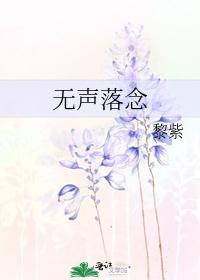 无声落念封面